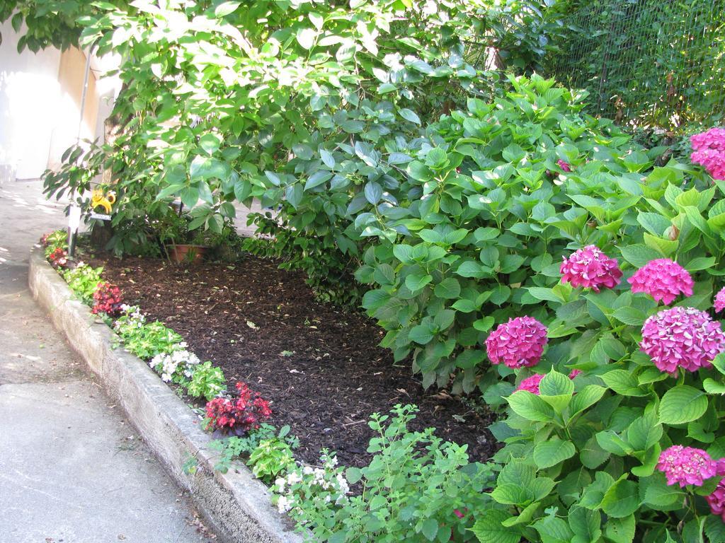 Ičići Apartment Sea Garden מראה חיצוני תמונה