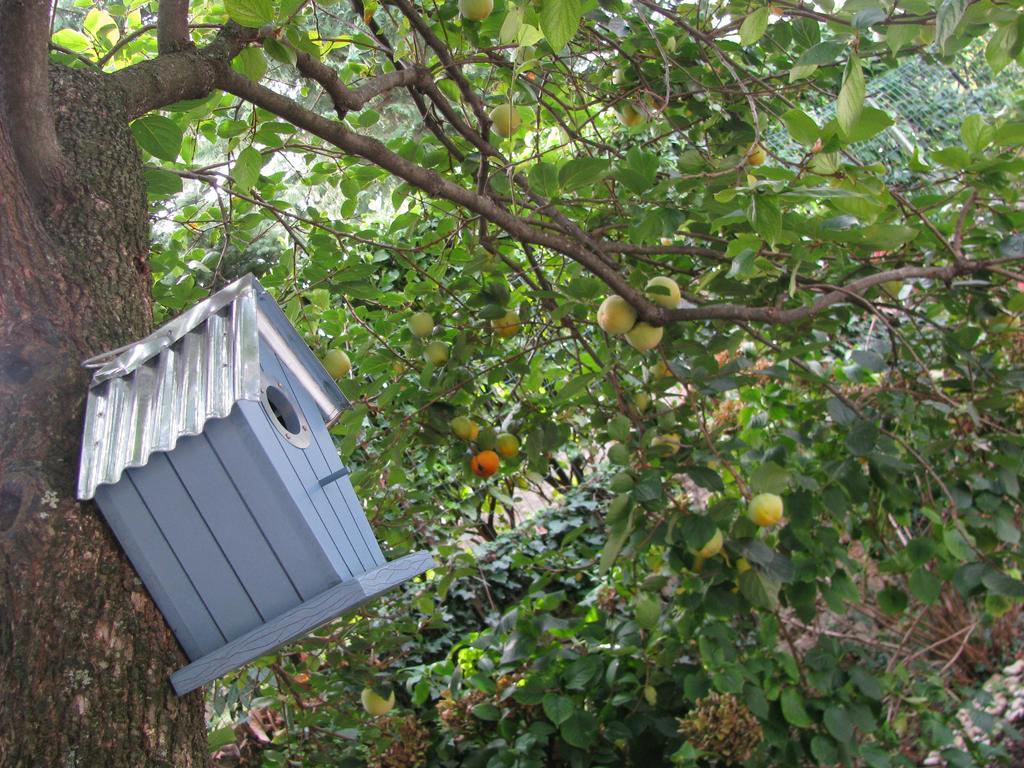 Ičići Apartment Sea Garden מראה חיצוני תמונה